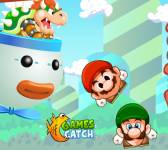 Игры Марио:Марио и Луиджи