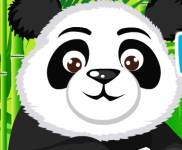 Игры с животными:Панда