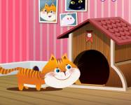 Игры с животными:Кот строит дом