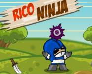 Ниндзя:Рико