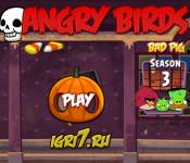 Игры для мальчиков:Angry Birds 2013