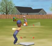 Спортивные игры:Бейсбол на заднем дворе