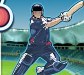 Спортивные игры:Чемпионат по крикету