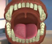 Больница:Зубной врач стоматолог