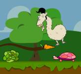 Игры с животными:Лама на черепахе