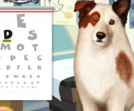 Игры с животными:Уход за глазами собаки точка ком