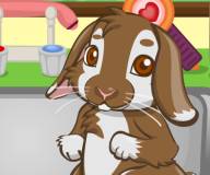 Игры с животными:Питомец кролик