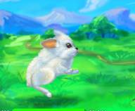 Игры с животными:Уход за кроликом